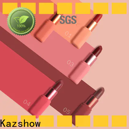 Kazshow lipstick set from China for lips makeup